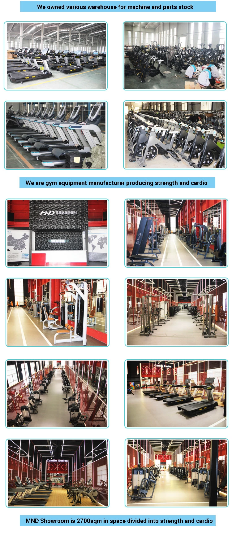 Commercial Fitness Equipment Home Gym Use Weight Plate Tree for Bodybuilding