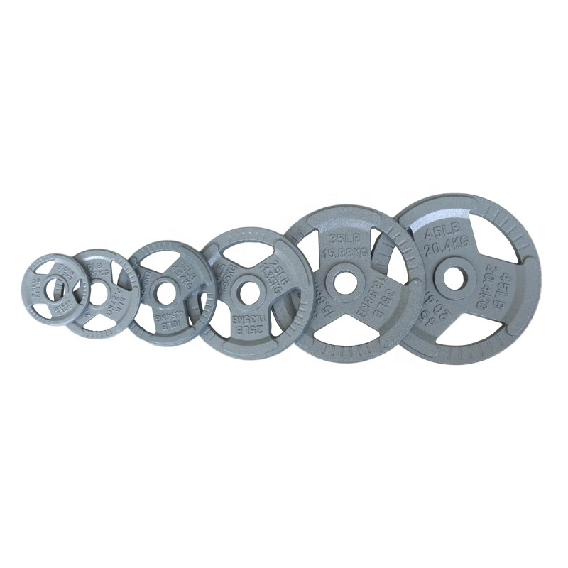 China Wholesale Weight Plates Free Weights Plate Home Gym Cast Iron Barbell Dumbbell Weight Plate