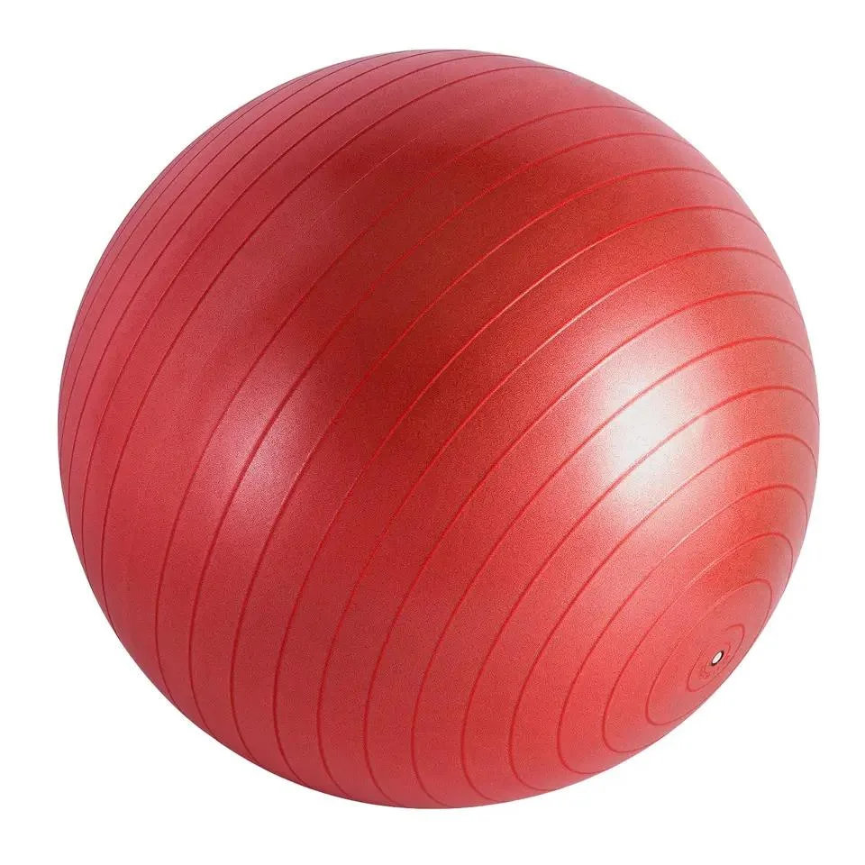 Explosion Proof Balance Sports Ball Gym 55cm Premium Black PVC Yoga Ball