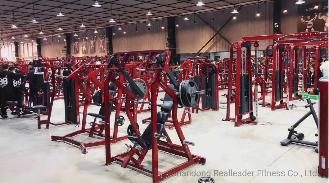 Realleader Kneeling Chair Ab Machine Fw-1009