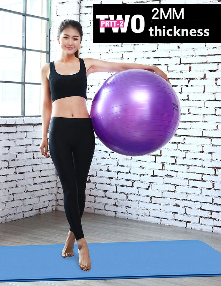 Non-Slip PVC Customized Anti-Burst Stability Gymnastic Exercise Yoga Balance Ball
