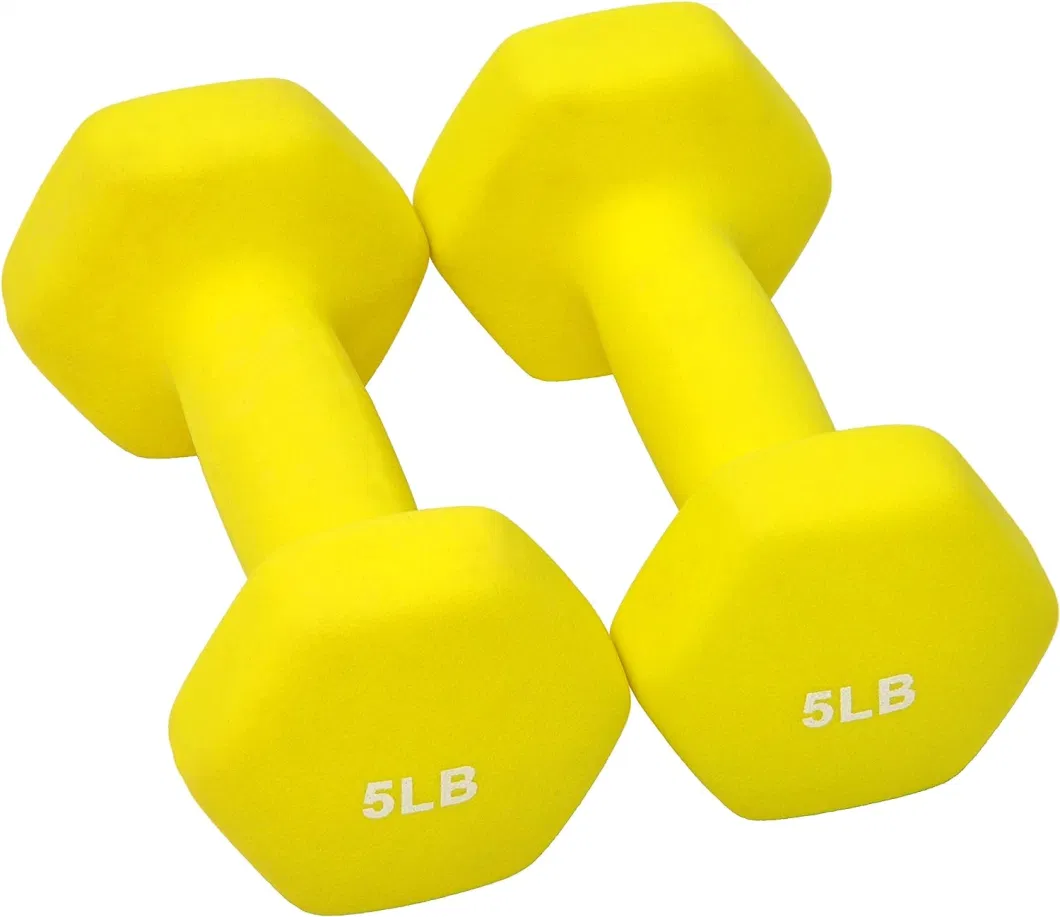 Home Gym Equipments 2.5kg/5kg/10kg/25kg Colorful Hex Dumbbell Set for Sale