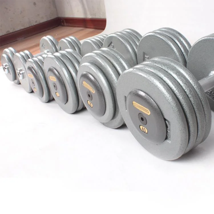 Wholesale Professional Commercial Gym Dumbbell Fitness Dumbbell Bodybuilding Cast Iron Dumbbell Set