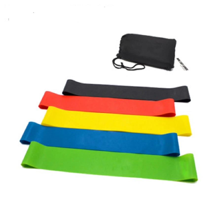 Resistance Loop Bands, Exercise Bands, Fitness Bands, with Carry Bag, Light to Extra Heavy Resistance Set of 5, Strength Fitness Tools Esg13797