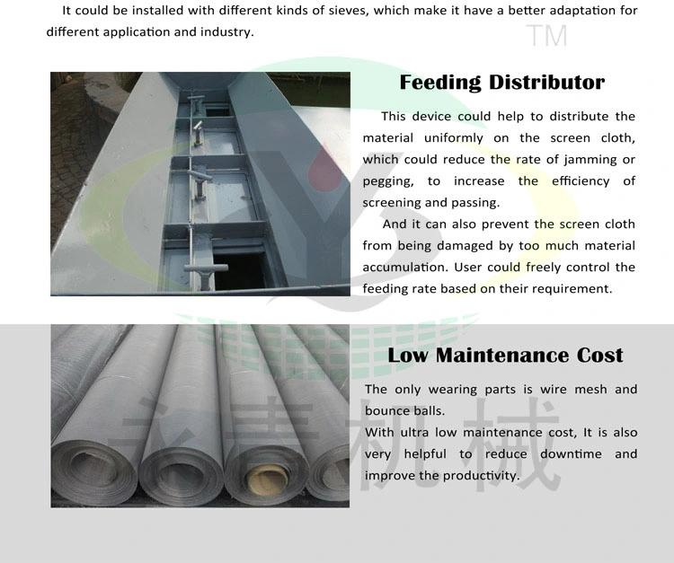 Source Factory SS304 Linear Sieve Machine for Fertilizer