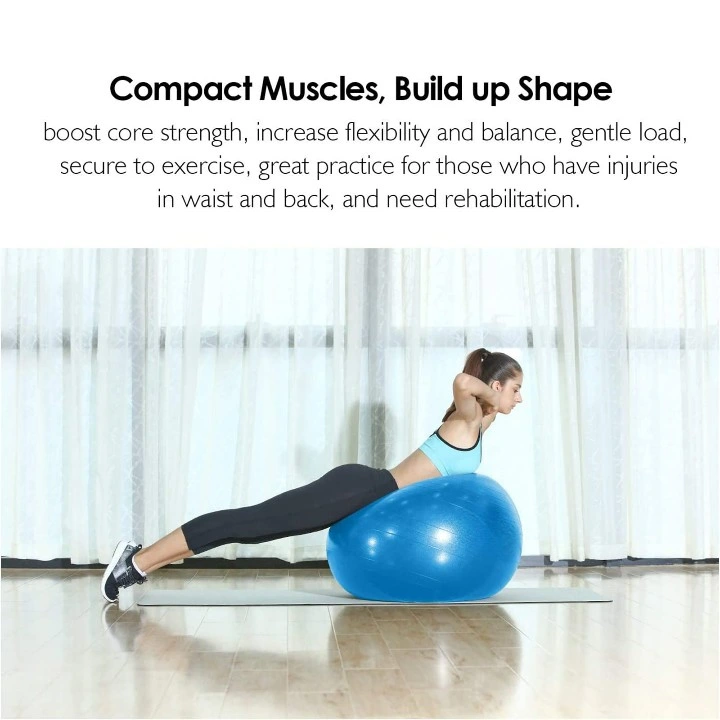 Wholesale Price Gym Fitness Anti-Burst Extra Thick Stability Yoga Ball
