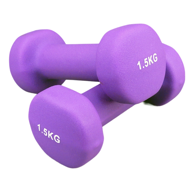 High Quality Gym Fitness 1-10kg Customized Weights Neoprene Coated PVC Dumbbells