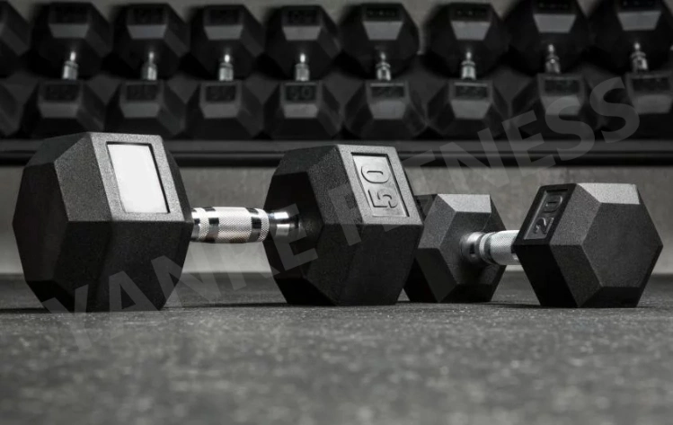 Wholesale Gym Weights Fitness Equipment Accessories Functional Training Rubber Coated Hex Dumbbell