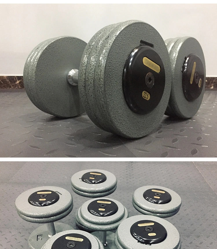 Wholesale Professional Commercial Gym Dumbbell Fitness Dumbbell Bodybuilding Cast Iron Dumbbell Set