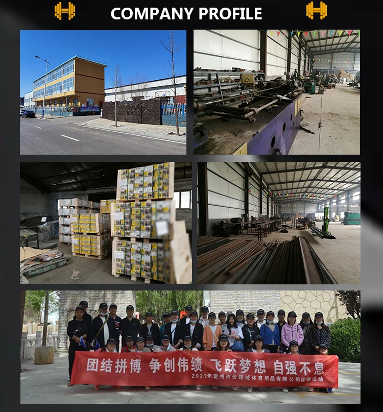 China High Quality Stainless Steel Dumbbell Set Chromed Rotating Dumbbell