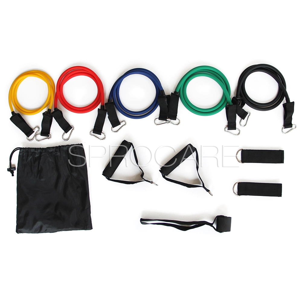 Latex Resistance Bands Set, Exercise Bands, Workout Bands, Fitness Tube with Handles for Men, Weights for Women at Home, Strength Training Equipment
