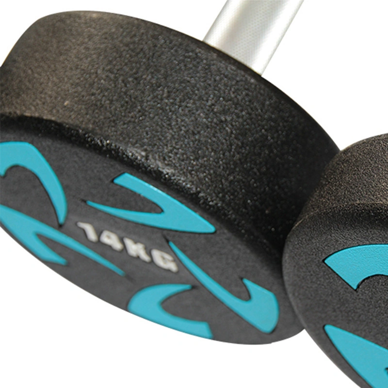 Fitness Weight Urethane Dumbbells Lbs Set Round Urethane Dumbbells