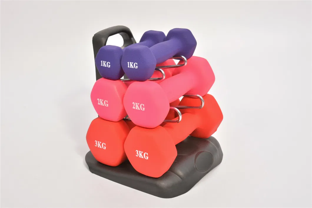 Dipped Dumbbell Set with Gift Box Set /Vinyl Fixed Coated Dumbbell Set with Gift Box for Woman and Kinds