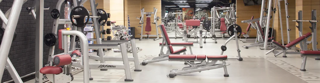 plate loaded machine,gym equipment,Fitness Equipment,Gym machine,Linear Leg Press-DF-6012