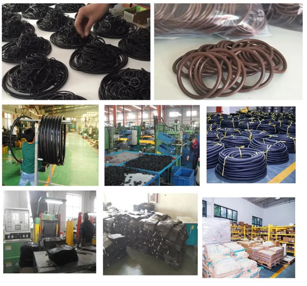 High Quality O-Ring Standard O Manufacturer EPDM Heat Resistance Mechanical Seal Ring