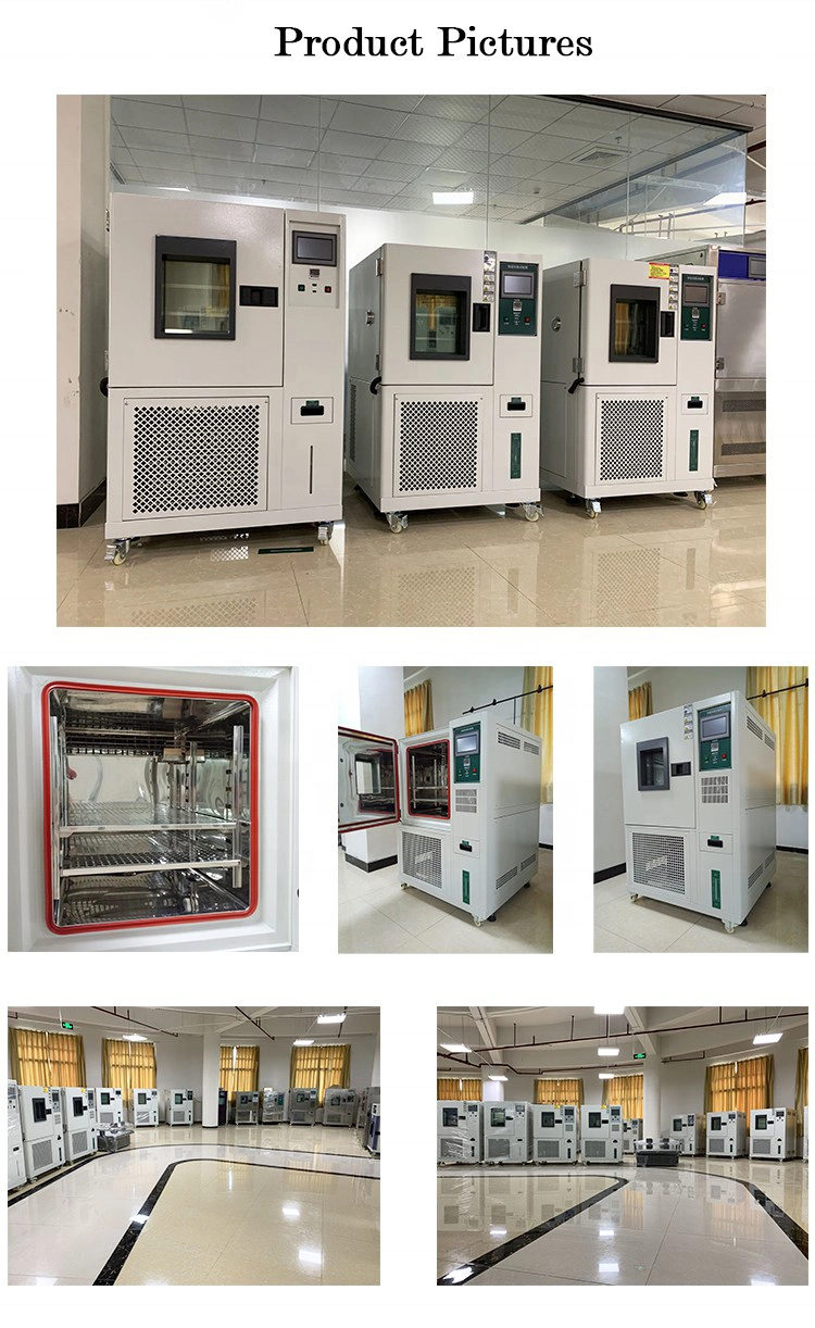 Programmable Medicine Constant Humidity and Temperature Test Climate Chamber