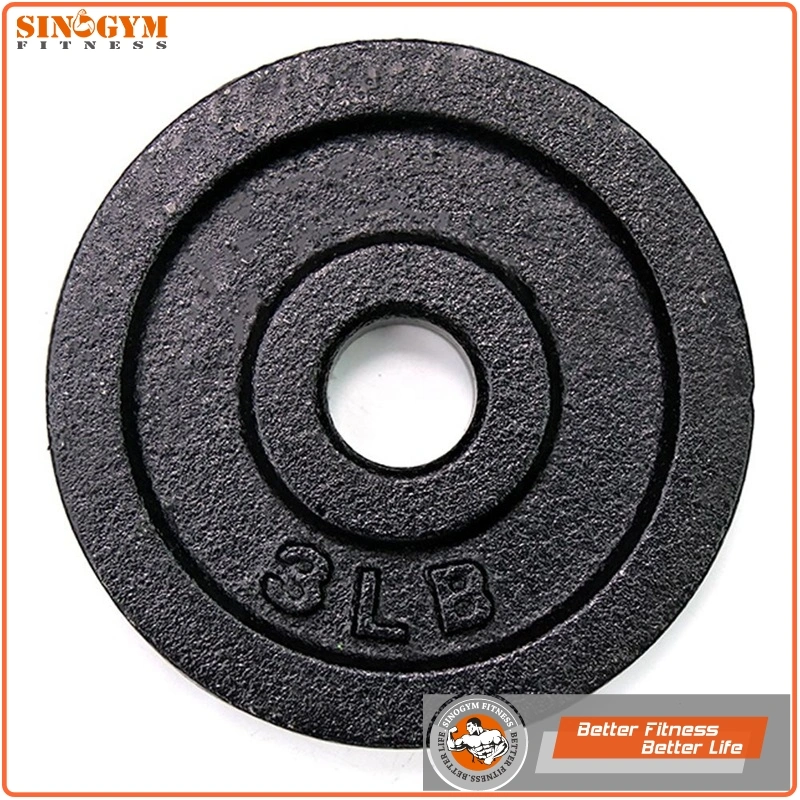 Horizontal Edge Black Paint Cast Iron Weight Plate