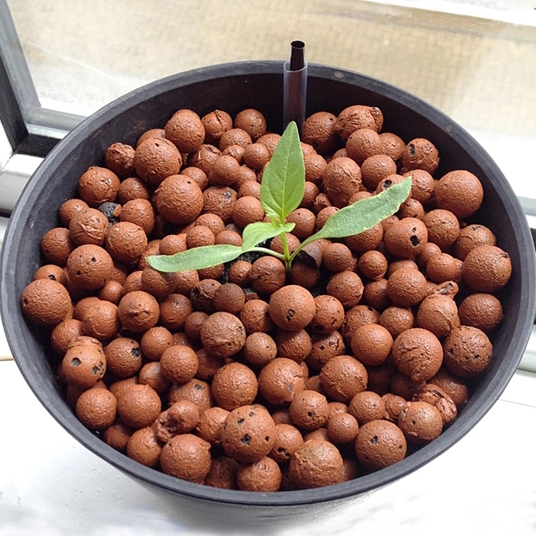 Hydroponic Light Weight Clay Grow Media Expanded Clay Pebbles Leca Ball