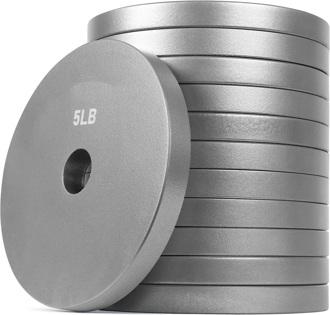 Standard Solid Gym Steel Iron Adjustable Dumbbells Barbell Weight Plate