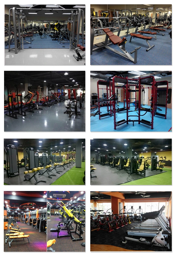 Squat Rack/Crossfit Rack/Life Fitness Equipment/Best Gym Equipment (BFT-3058)