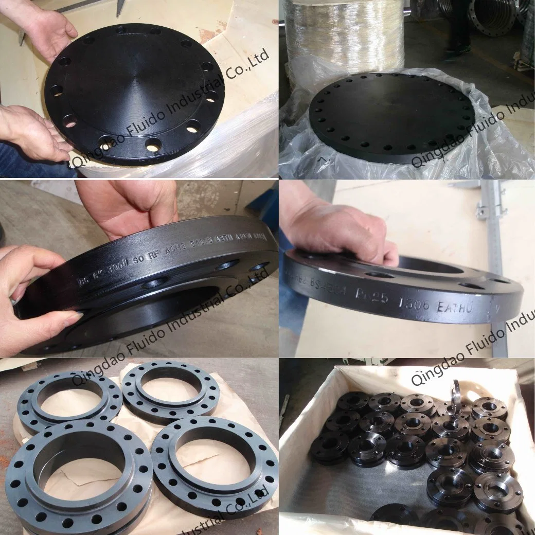 OEM Custom Carbon Steel Stainless Steel Flange Neck Welding/Blind/Slip on/Thread/Plate