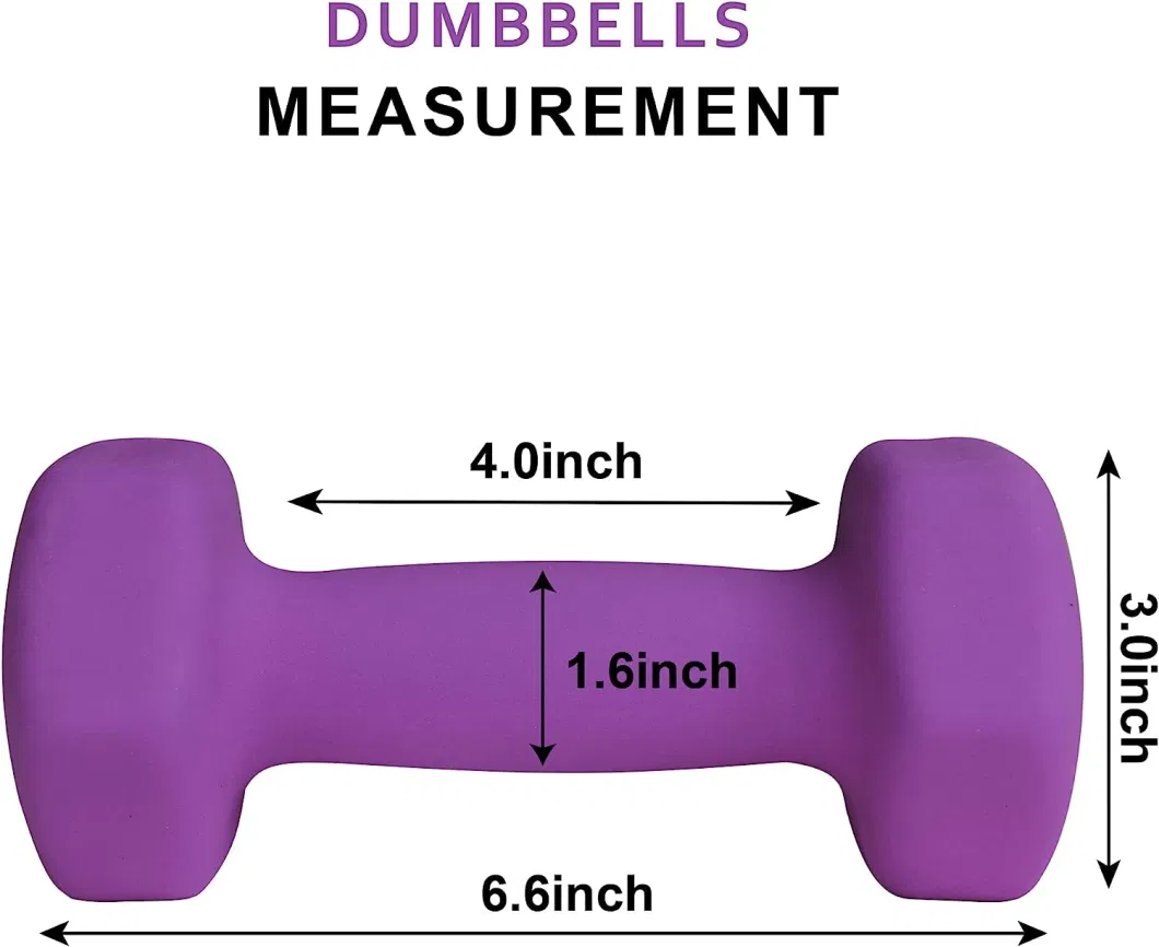 Fitness Training Fashion Hand Weight Neoprene Coated Dumbbell for Home Gym