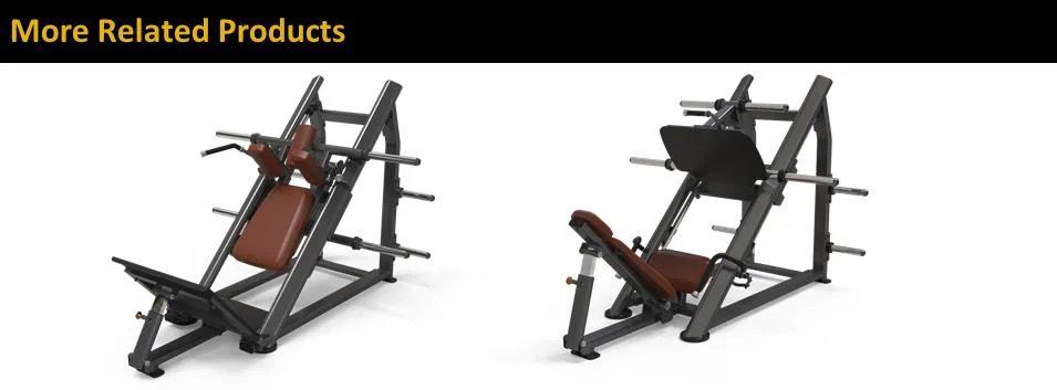 Gym Commercial Equipment China Commercial Gym Equipment Leg Press for Sale