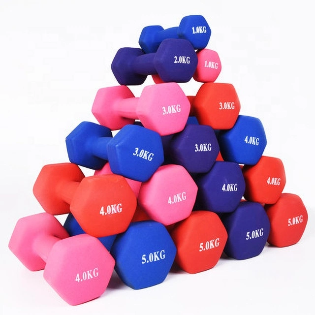 Home Use Training Fitness Equipment Vinyl Dumbbell Gym Accessories