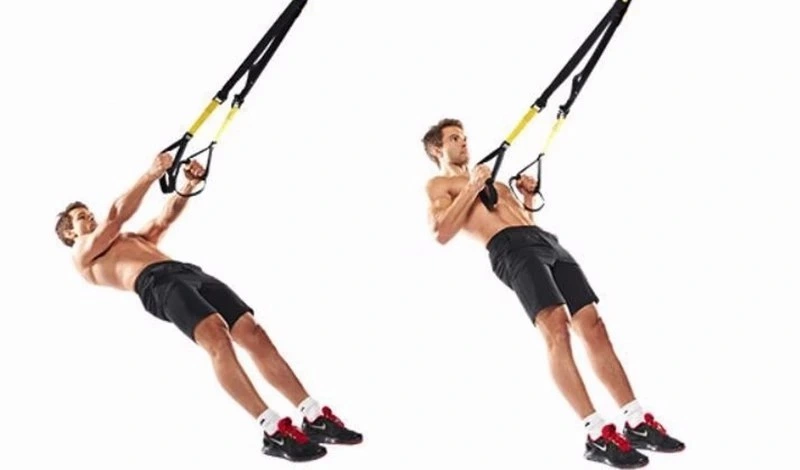 Gym Adjustable Fitness Suspension Trainer Straps Set Straps Suspension Trainer