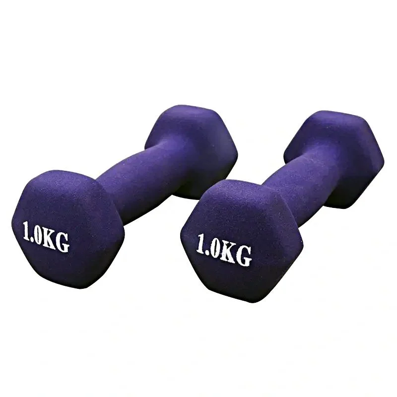 Colorful Dumbbells 1-5kg Fashion Hand Weight Gym Plastic Dumbbells Set for Women