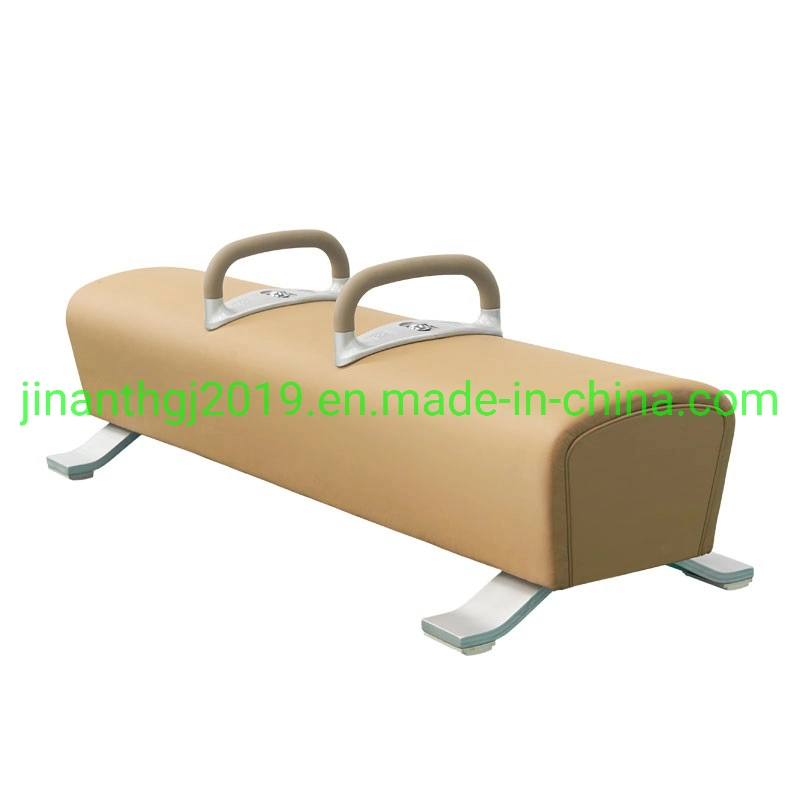 China Gymnastics Equipment-Ring Gymnastics