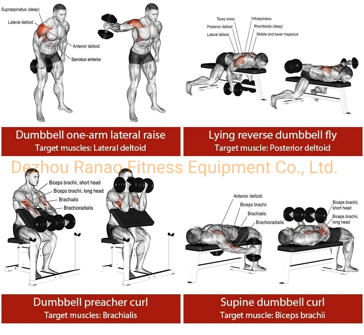 Gym Fitness Equipment New Automatic Adjustable Dumbbells 20kg, 24kg, 32kg, 36kg Increase by 4kg Smart Dumbbell Set