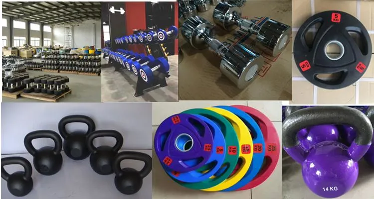 Gym Fitness Equipment Free Weights Color Paint Barbell Discs Bake Lacquer Bumper Plates Steel Weight Plate