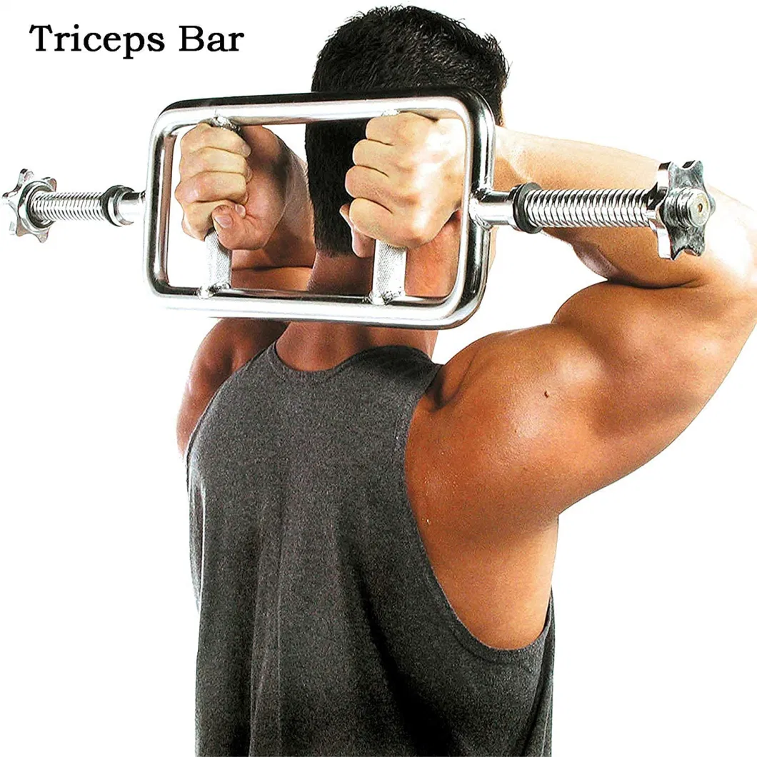 High Quality Barbell Grip Bar Gym Equipment Weight Lifting Bar Barbell Tricep Bar