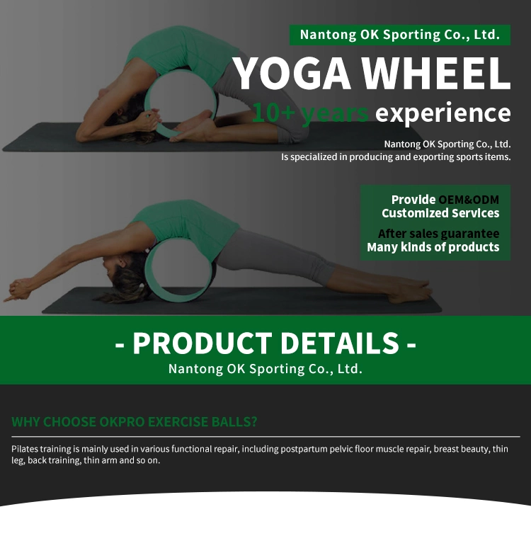 Okpro Direct Sale Colorful Customized Logo High Density TPE Comfortable Yoga Wheel