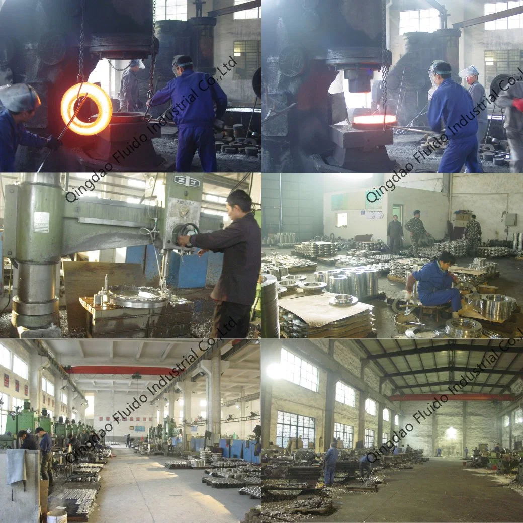 OEM Custom Carbon Steel Stainless Steel Flange Neck Welding/Blind/Slip on/Thread/Plate