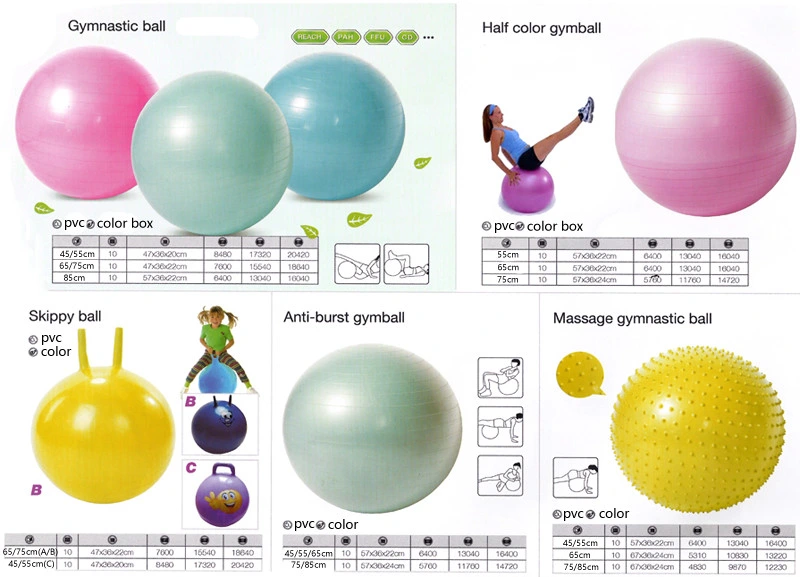 Fitness PVC Non-Toxic Exercise Anti Burst Inflatable Gym Yoga Ball
