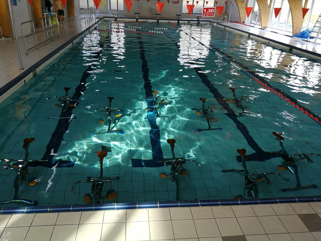 Aquatic Underwater Hydrotherapy Swimming Pool Slow Walk Jogging Treadmill