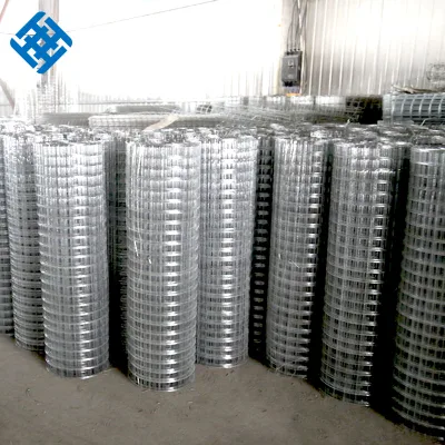 Wholesale Cheap Price 1/4 Inch Welded Rabbit Cage Wire Mesh for Chicken Coop Cage