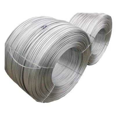  Ss Stainless Steel Wire with Iron Inox Metal MIG TIG Er308 Er309 Er316 Er304 for Gas Welding