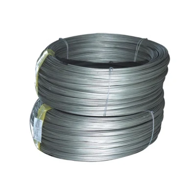 High Strength Factory Directly 304 304cu 316 201 316lvm 430 420 Er308L 309S Bright/ Tinny/Spring/Welding Stainless Steel Wire