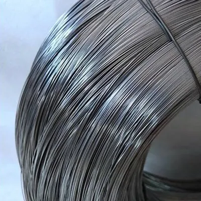 Steel Wire Spring Stainless Wire Form Spring Factory Direct Supply