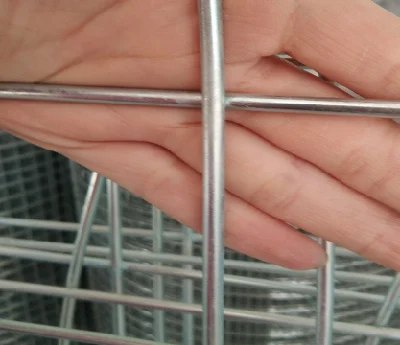 1.6mm 1 Inch Galvanized Welded Wire Mesh 30m Roll