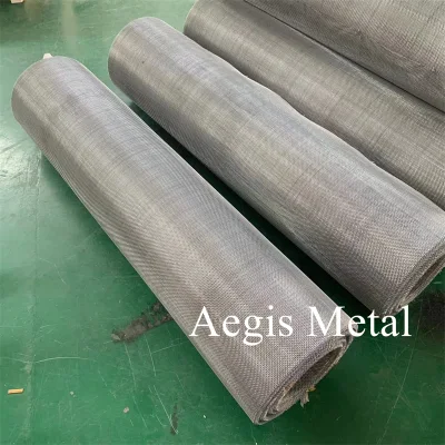 2205 2507 Duplex Stainless Steel Wire Woven Mesh Wide Width Net 30 40 Mesh in Stock