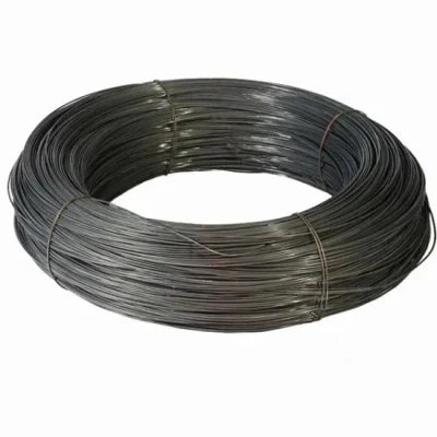  China Supplier Black Wire/Black Hard Drawn Wire/Iron Wire/Reinforcing Wire/Plain Round Wire/Nail Wire for Nail and Mesh Production