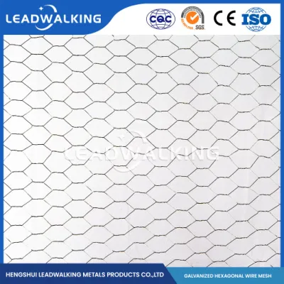  Leadwalking China Square Hole Chicken Wire Manufacturers Mild Steel Wire Material 3/8 Inch Mesh Iron Wire Hexagonal Mesh