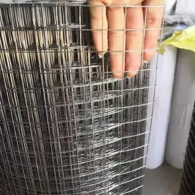 Amazon Ebay&prime; S Choice 1/4 1/2 3/4 1 2 Inch Mesh Galvanized Welded Wire Mesh for Fence