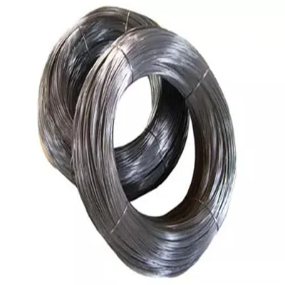  SUS ASTM JIS En 1mm 2mm 3mm Diameter Spring 304 304L 316lhot/Cold Rolled Stainless Steel Wire for Kitchen