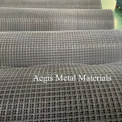 2205 2507 Duplex Stainless Steel Wire Woven Mesh Wide Width Net 30 40 Mesh in Stock