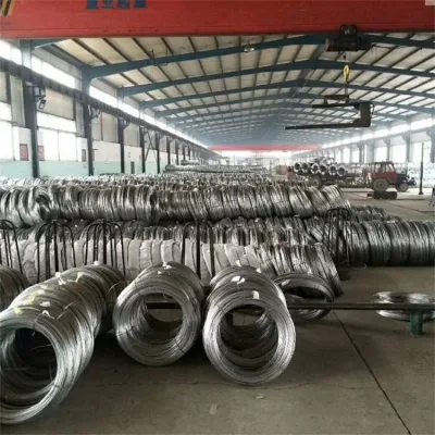 304 316 201 316lvm 430 420 Er308L 309S Bright/ Tinny/Spring/Welding Stainless Steel Wire in China